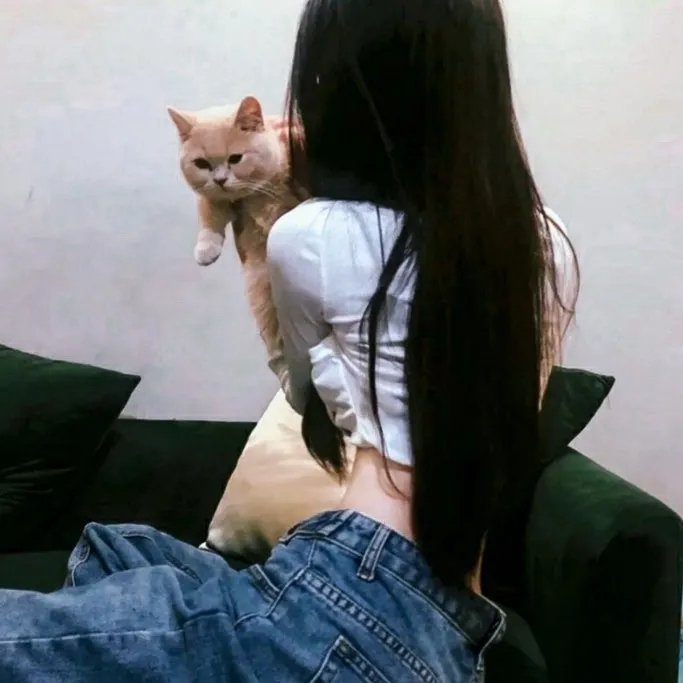 铁血金戈