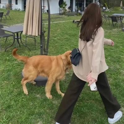 王者天下第六季
