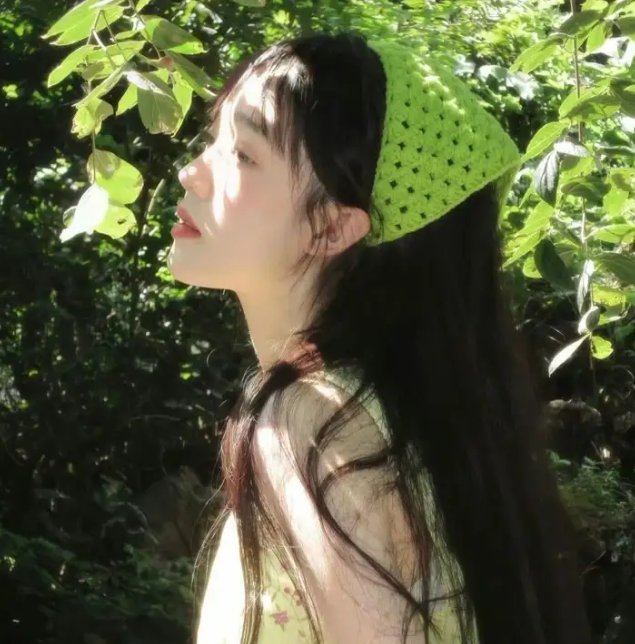 恋恋飞翔